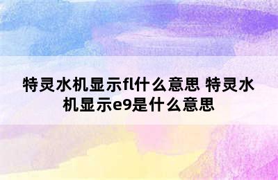 特灵水机显示fl什么意思 特灵水机显示e9是什么意思